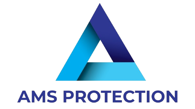 ams-protection-alarme-camera-videosurveillance-securite-ppms-intrusion-bayonne-anglet-pyrenees-atlantiques